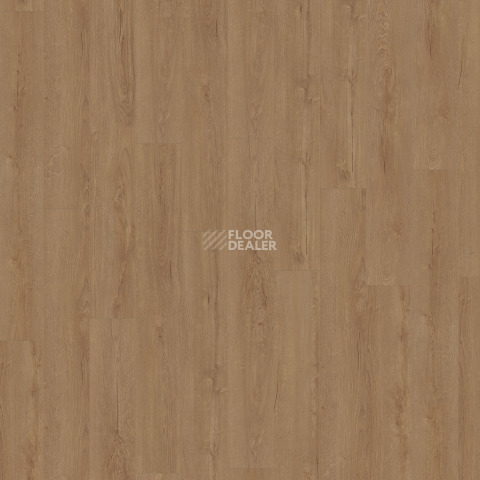 Kronotex Exquisit 8мм d41212 Дуб Горизонт шоколад фото 6 | FLOORDEALER